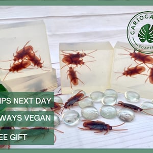 Cockroach Vegan Soap - Vegan Handmade Bar Soap - April Fools Gag Gift - White Elephant Gift - Prank Gift - Funny Gift for Him - Bug - Insect