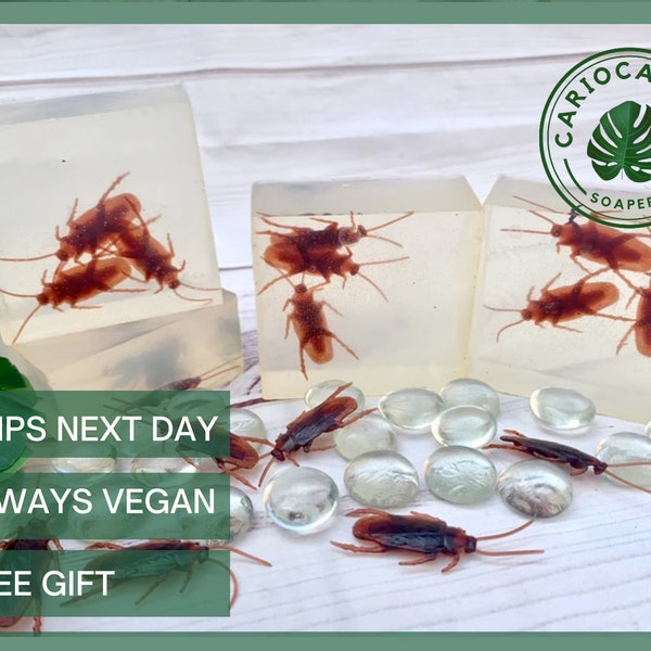 Vegan Gag Gift 60+ Gift Ideas for 2024