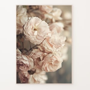 Romantic Antique Roses Art Print, Rustic Roses Poster, Vintage Rose Print, Soft Pink Rose Art Print, Sophisticated Decor