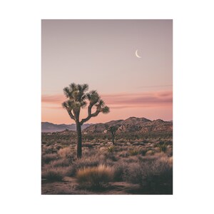 Joshua Tree Desert Poster, Sunset Desert Landscape Poster, Joshua Tree Art Print, Boho Room Decor, Boho Wall Art image 4