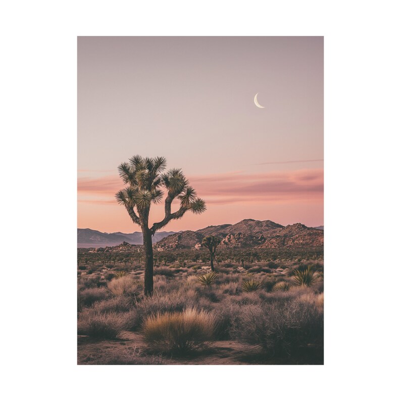 Joshua Tree Desert Poster, Sunset Desert Landscape Poster, Joshua Tree Art Print, Boho Room Decor, Boho Wall Art image 4