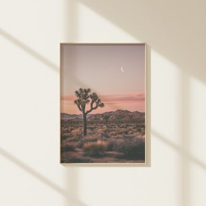 May include: A framed photograph of a desert landscape with a single Joshua tree in the foreground. The sky is a soft pink and purple, with a crescent moon visible in the upper right corner.