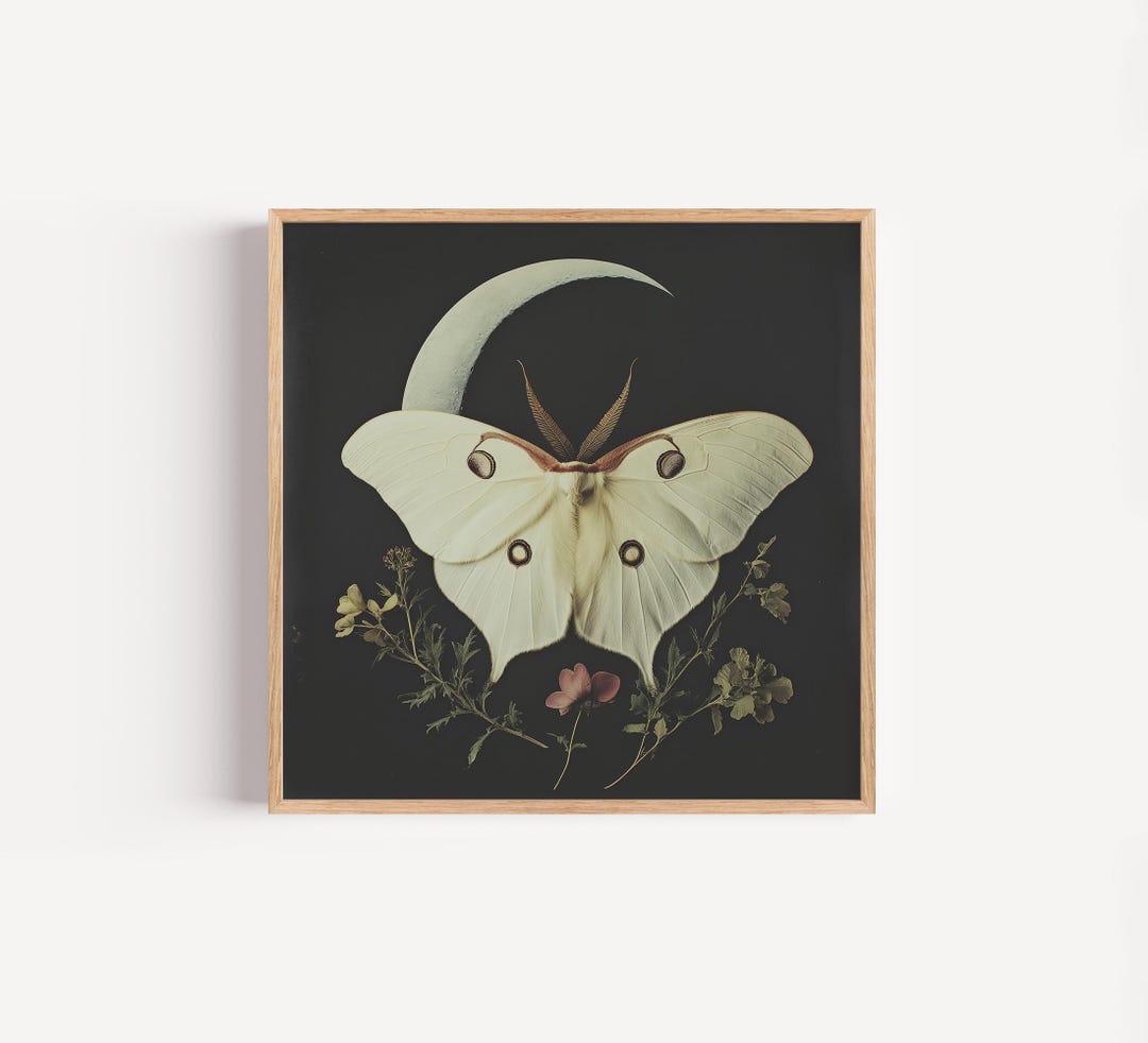 White Luna Moth Art Print, Whimsical Luna Moth Poster, Botanical Art ...