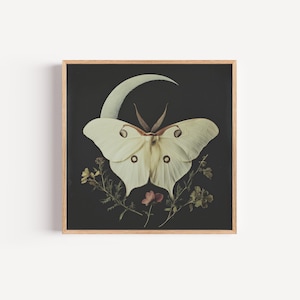 White Luna Moth Art Print, Whimsical Luna Moth Poster, Botanical Art Print, Luna Moth Crescent Moon, Celestial Art Print