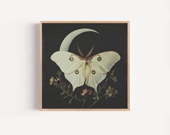 White Luna Moth Art Print, Whimsical Luna Moth Poster, Botanical Art Print, Luna Moth Crescent Moon, Celestial Art Print