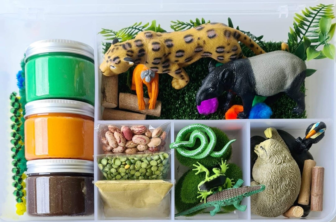 Rainforest Mega Playdough Kit Etsy