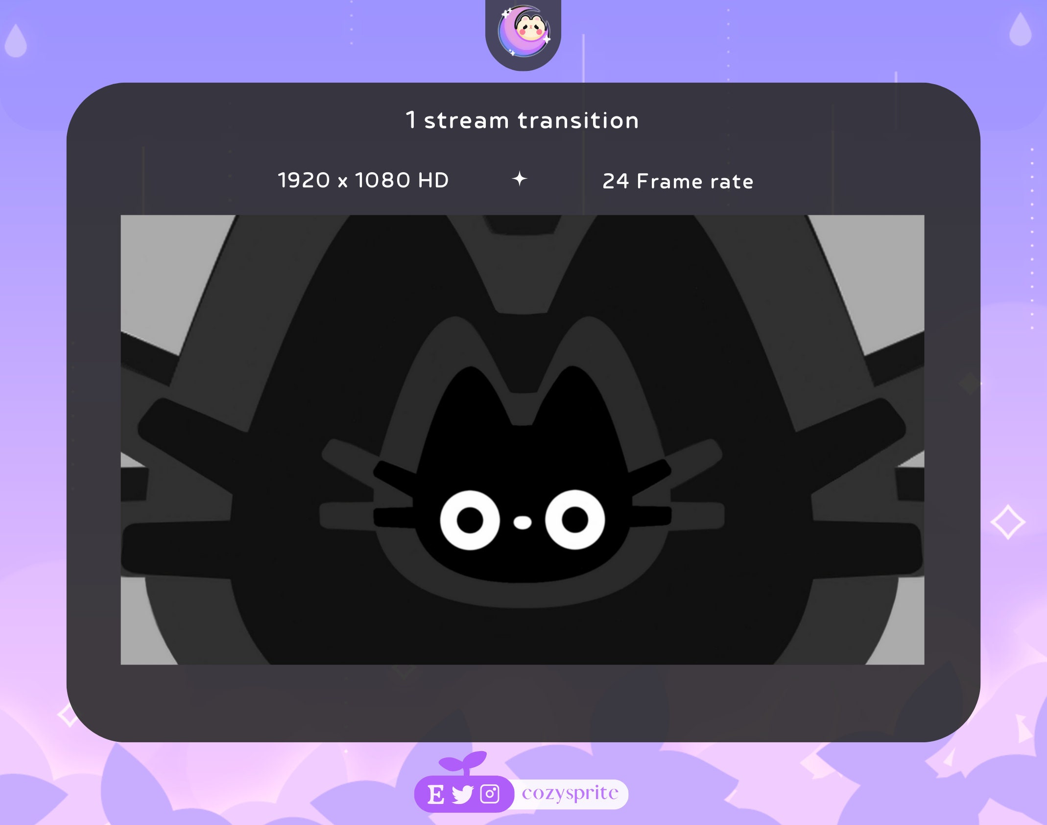 Black Cat Stinger Transition | Twitch Stream Scene Stinger Transition ...