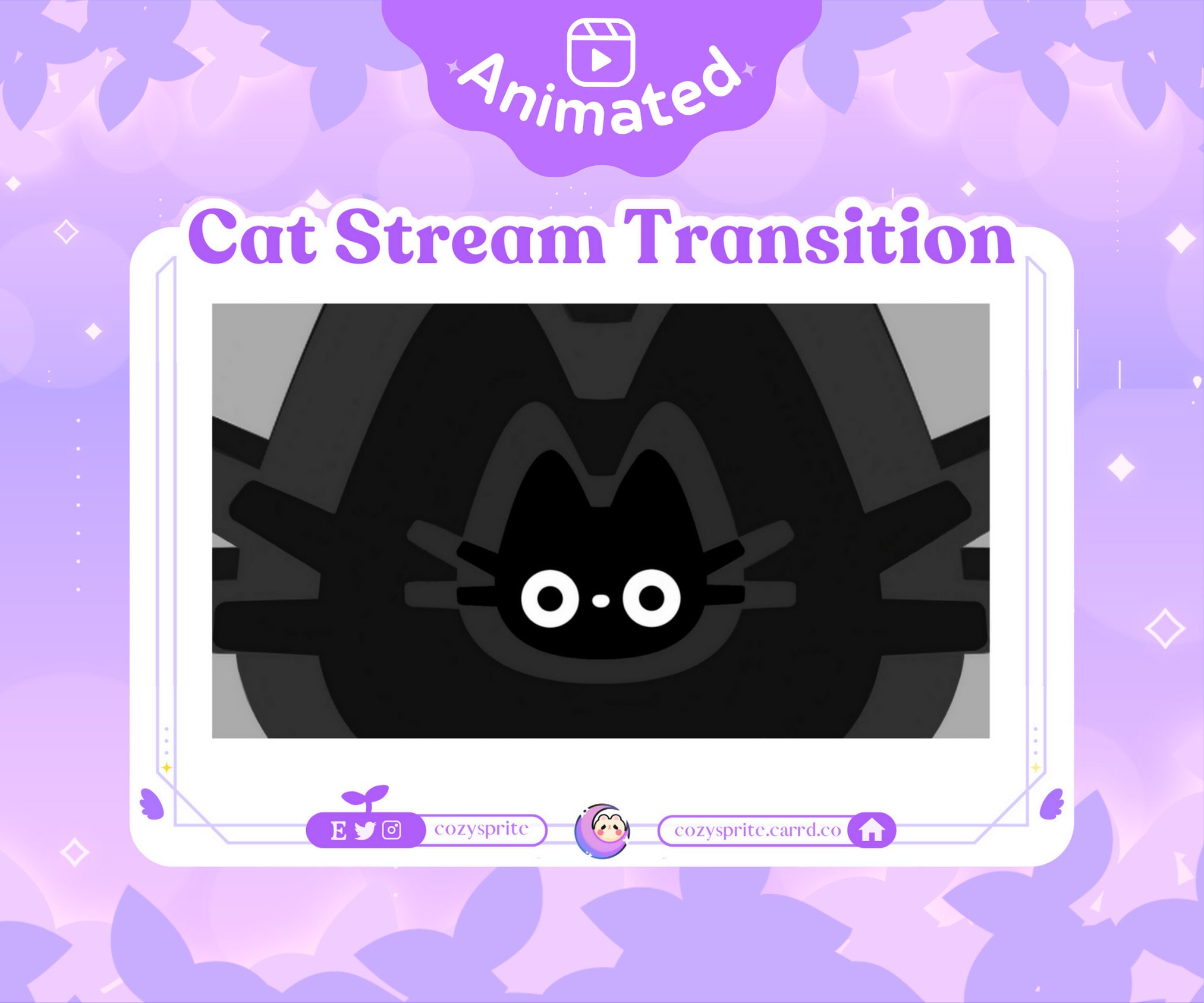 Black Cat Stinger Transition | Twitch Stream Scene Stinger Transition | OBS Scene Transition | Twitch Youtube Vtuber Streamer