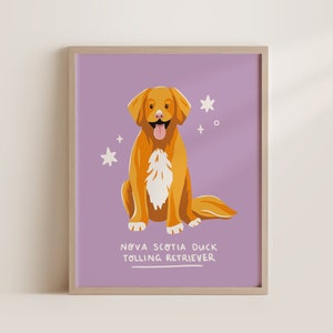 Nova Scotia Ente Tolling Retriever | Digitaler Kunstdruck Download | A3 Druckbare | Hunderasse Kunstdruck