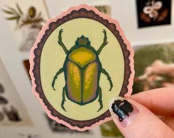 Figeater Beetle specimen sticker - Matte Finish