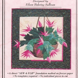 1997 Christmas Cactus Quilt Design Quilt Pattern Download immediato PDF Opuscolo digitale E-pattern