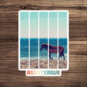 Assateague Wild Horse Beach Sticker