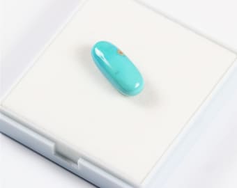 May include: A smooth, oval-shaped turquoise gemstone with a light blue color. The stone is set on a white background.