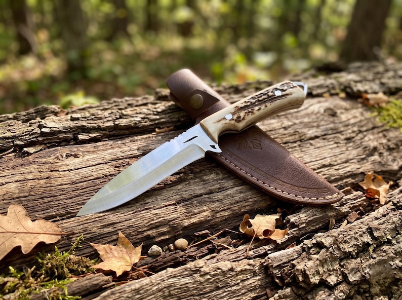 May include: A hunting knife with a polished steel blade and an antler handle lies on a weathered log. The knife is accompanied by a brown leather sheath. The scene is set outdoors with a blurred forest background.
