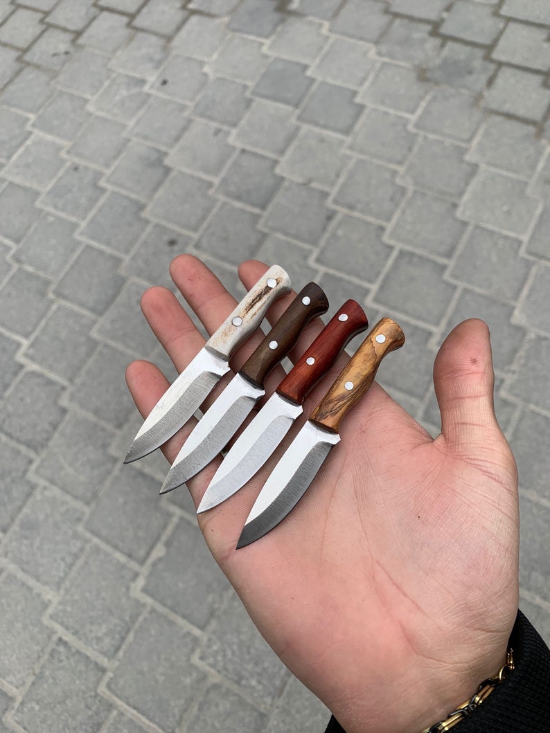 May include: Four small knives with varying handle materials, including light-colored bone, dark brown wood, and reddish-brown wood. The blades are silver and have a curved shape. The knives are held in a hand against a gray background.