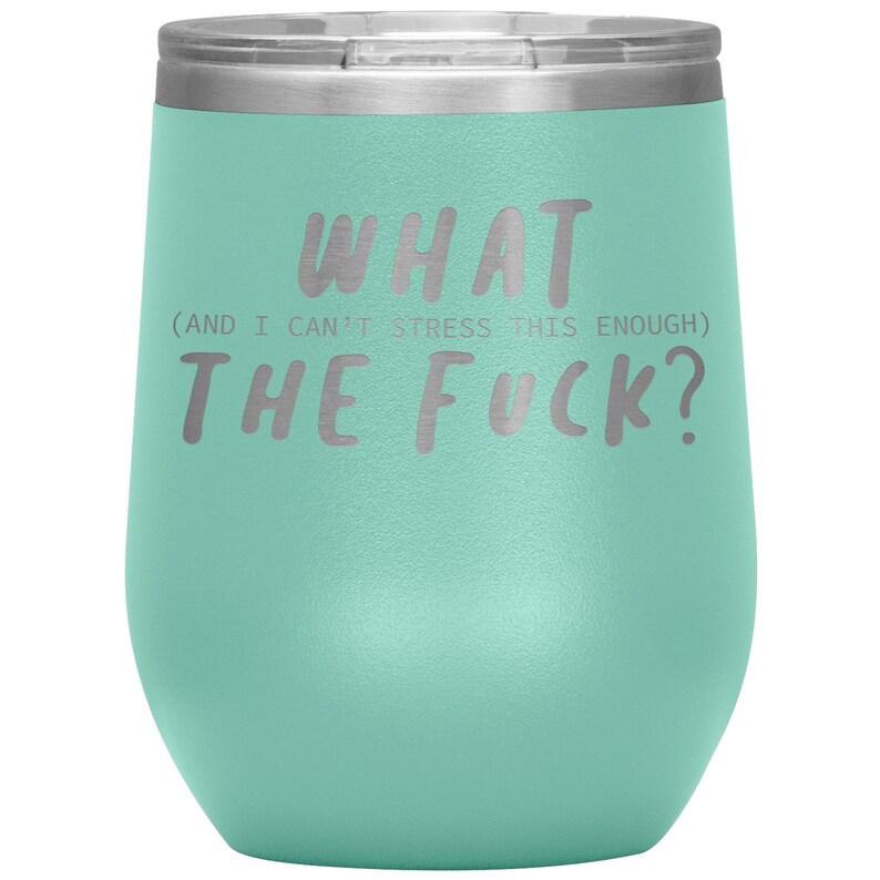 xmas gift what the fuck wine tumble Gift for friend Wine tumble Gift