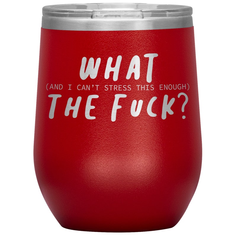 xmas gift what the fuck wine tumble Gift for friend Wine tumble Gift