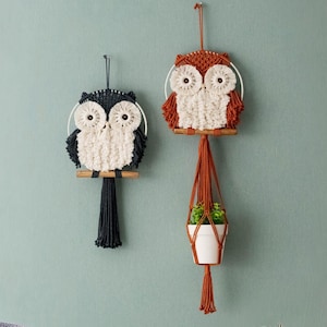 Könnte beinhalten: Zwei Makramee-Wandbehänge in Form von Eulen mit weißem Garn und braunem und schwarzem Garn. Die Eule rechts hängt an einem Makramee-Pflanzenhänger mit einer kleinen Topfpflanze.