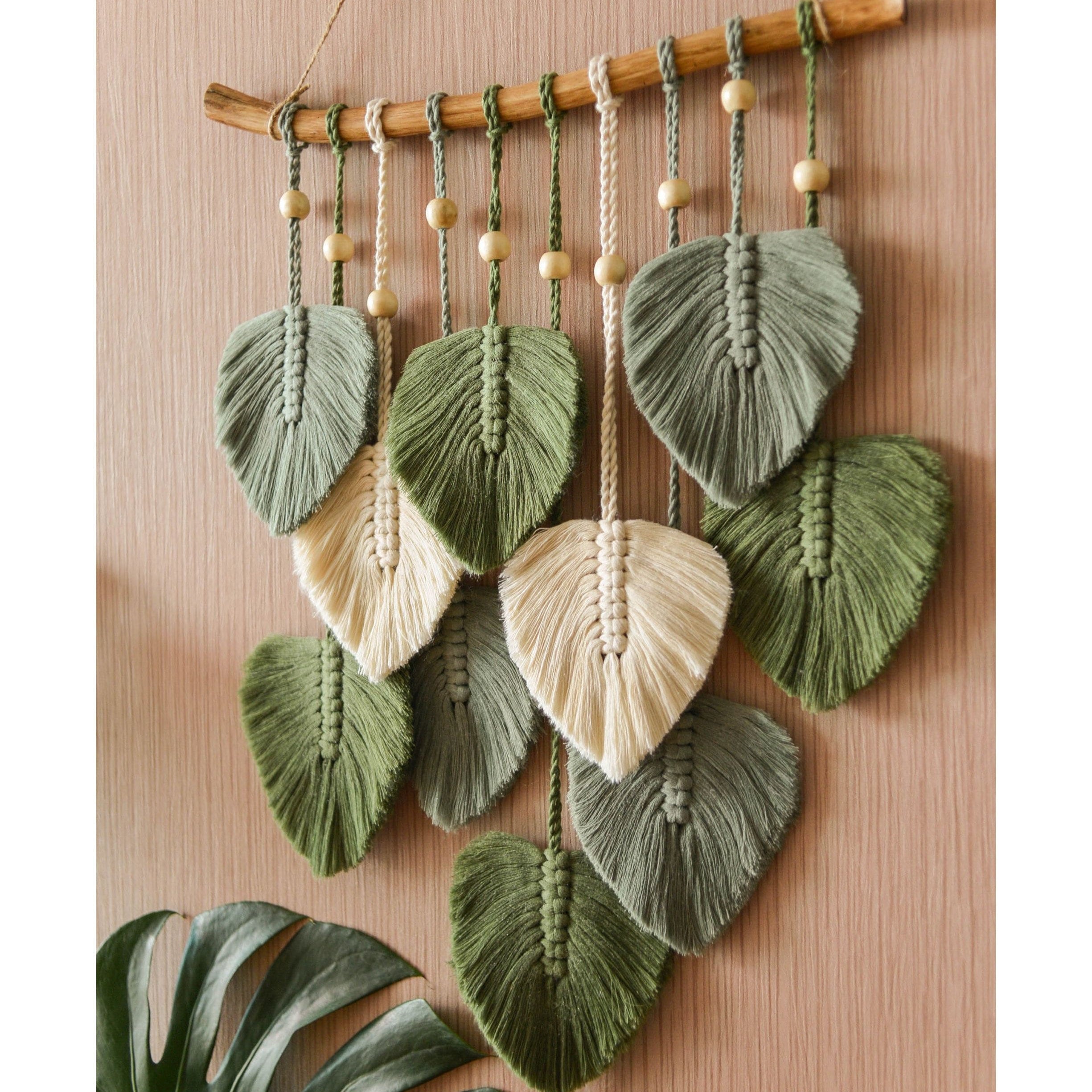 philodendron dk 50060 Philodendron Birkin – Costa Farms main image 1