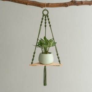 May include: A green macrame plant hanger with a wooden shelf and a green potted plant. The hanger is suspended from a branch.