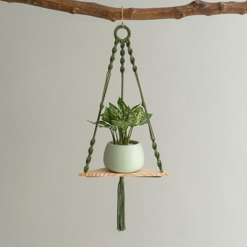 May include: A green macrame plant hanger with a wooden shelf and a green potted plant. The hanger is suspended from a branch.