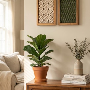 Pu&ograve; includere: Scena di soggiorno con un mobile in legno con una pianta in vaso e oggetti decorativi. Due decorazioni murali incorniciate con disegni strutturati sono sopra il mobile. Un divano con una coperta &egrave; visibile sullo sfondo.