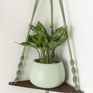 May include: A green macrame plant hanger with a wooden shelf and a green potted plant. The plant has white speckles on the leaves.