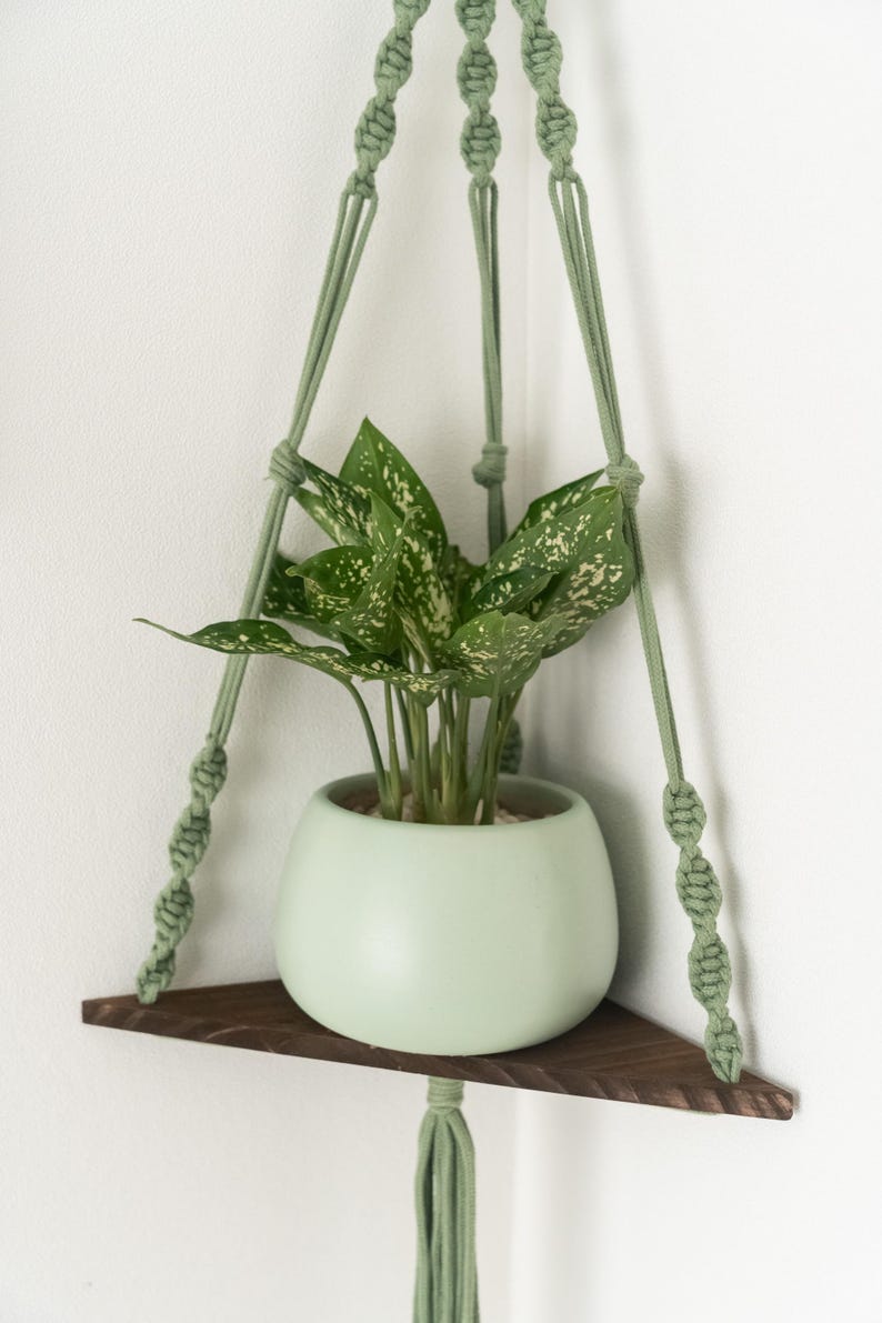 May include: A green macrame plant hanger with a wooden shelf and a green potted plant. The plant has white speckles on the leaves.