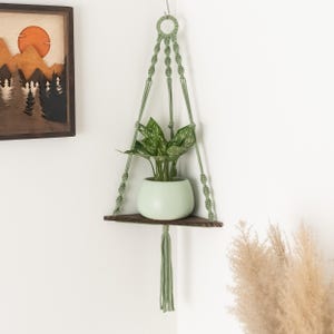 May include: A green macrame plant hanger with a wooden shelf and a green potted plant. The plant hanger is hanging from the ceiling and the shelf is attached to the wall.
