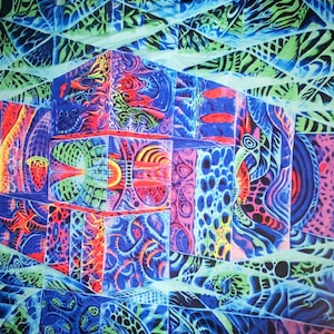 Neon Trippy Wand wandteppich (90x50 inch)