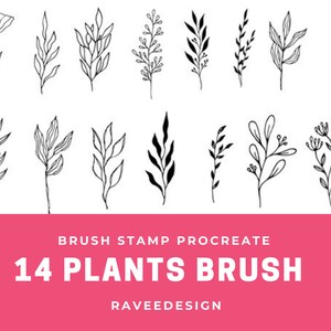 14 Plants , Botanical Brush Stamp for Procreate on iPad/ Procreate brushes tool