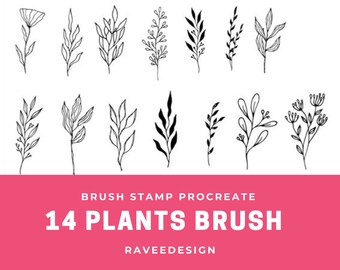 14 piante, timbro pennello botanico per procreare su iPad / Procreate brushes tool