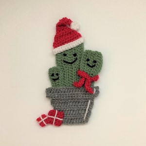 Christmas Cactus Crochet Applique Pattern instant pdf download