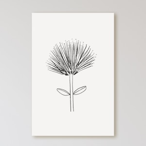 Pohutukawa Drawing, Pohutukawa Flower, Kiwiana Art, New Zealand Nature, New Zealand Art, NZ Art, Minimalist Flower, Simple Flower, NZ Print