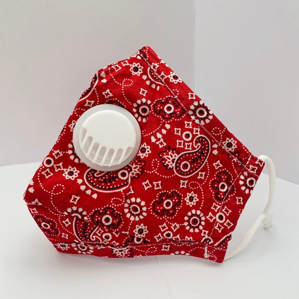 Paisley Print Face Mask W/Filter | Wire added Face Cover | Bandana Print Cotton Fabric Washable