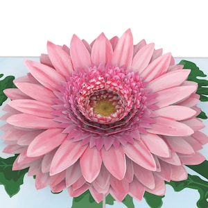 Daisies (PC880)