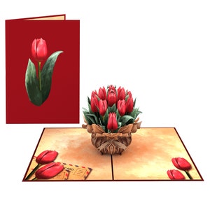 Red Tulips (PC853)