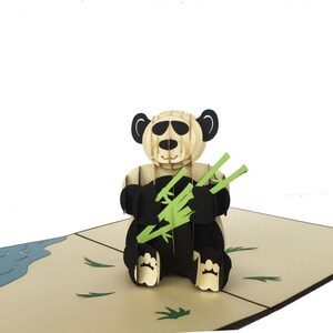Big Panda (D38)