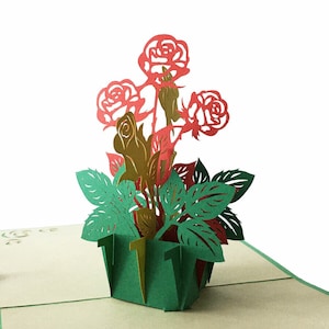 Mini Colors Roses Pot (NV54)