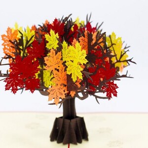 Maple Tree (L128)