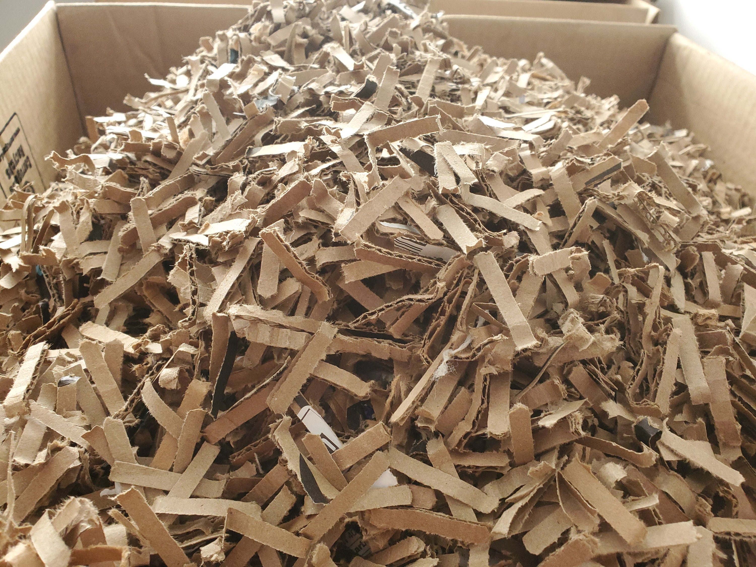 20 Lbs Clean, Recycled, Shredded Cardboard Etsy