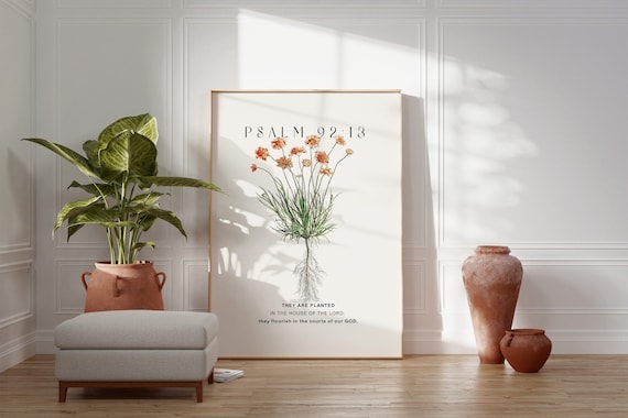 spider plant indoor Spider Plant – Habitat Plants + Coffee main image 1