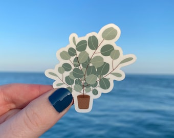 Eucalyptus Plant Sticker | Vinyl Waterproof Sticker |