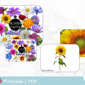 PDF niet-giftige bloemen, afdrukbare niet-giftige bloemen, flashkaarten, Montessori