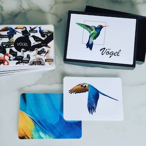 Oiseau animal de l’oiseau, mémoire, jeu à Montessori