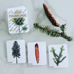 Baumkunde Lernspiel, Bäume lernen und Natur lieben lernen, Montessori Karten