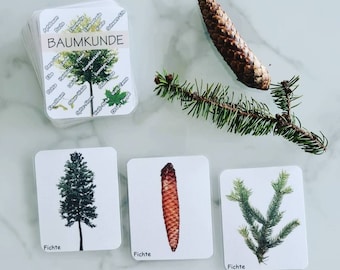 Baumkunde Lernspiel, Bäume lernen und Natur lieben lernen, Montessori Karten