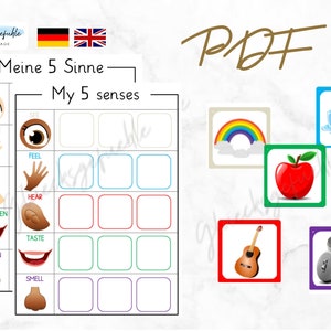 PDF 5 senses, 5 senses Sorting, Match, Montessori, Sorting Activity