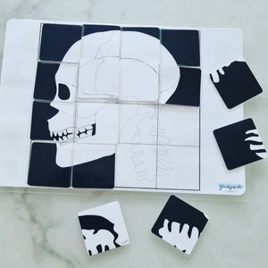 Anatomie du puzzle squelette