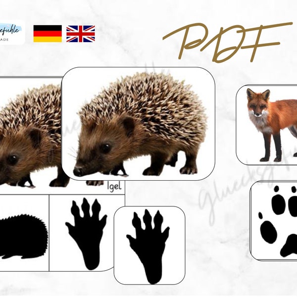 PDF Wald Tiere Fußspuren, Forscher Set